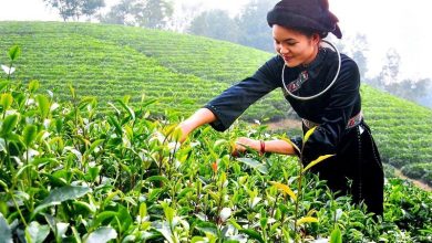 Du lịch cộng đồng gắn với OCOP