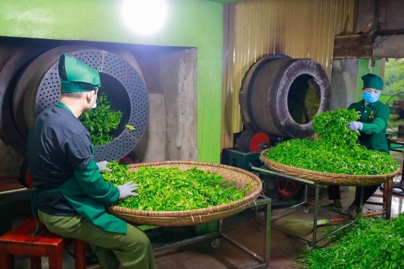 Du lịch cộng đồng gắn với OCOP Du lịch cộng đồng gắn với OCOP