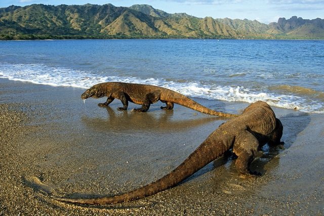 10 kỳ quan hùng vĩ ít được biết đến