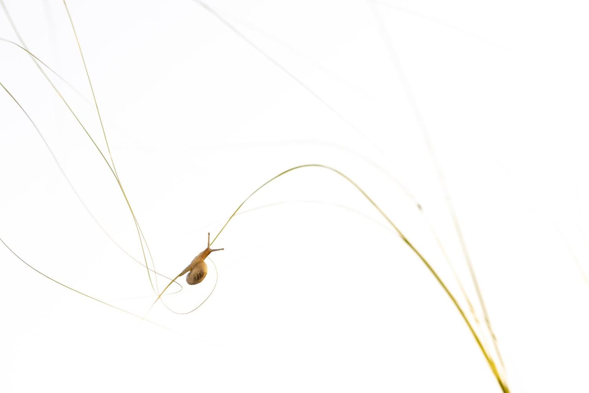 Tác phẩm thắng giải Nhiếp ảnh Thiên nhiên Đức 2023