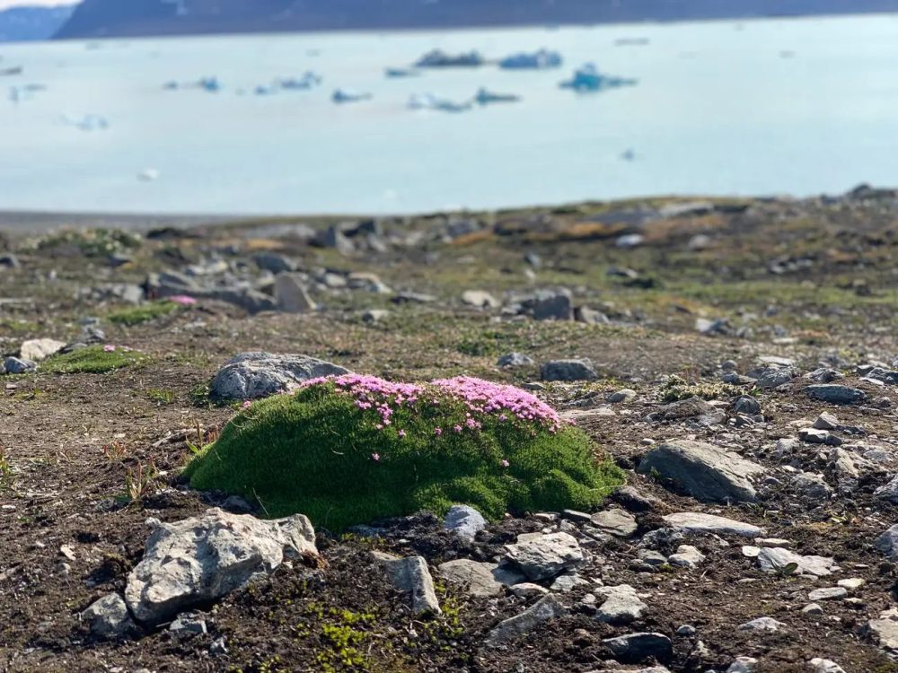 8 điều thú vị ở thị trấn cực Bắc của Trái Đất 8 điều thú vị ở thị trấn cực Bắc của Trái Đất