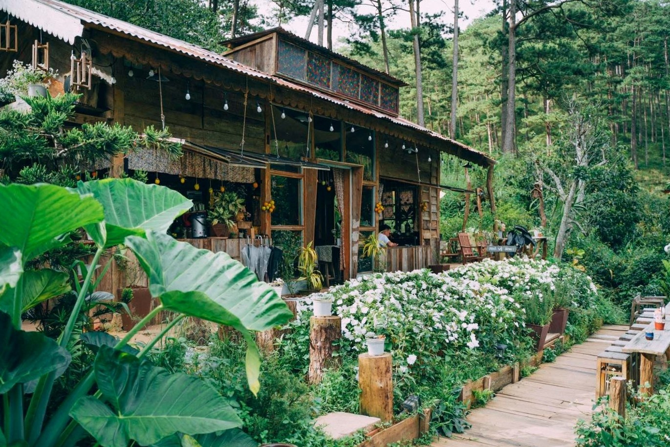 10 quán cà phê bình yên để ngắm mưa ở Đà Lạt