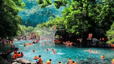 Một ngày khám phá vườn quốc gia Phong Nha - Kẻ Bàng