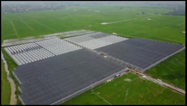 TẬP ĐOÀN HỒ GƯƠM: TIẾN CÙNG ĐẤT NƯỚC, SÁNH BƯỚC NĂM CHÂU TẬP ĐOÀN HỒ GƯƠM: TIẾN CÙNG ĐẤT NƯỚC, SÁNH BƯỚC NĂM CHÂU