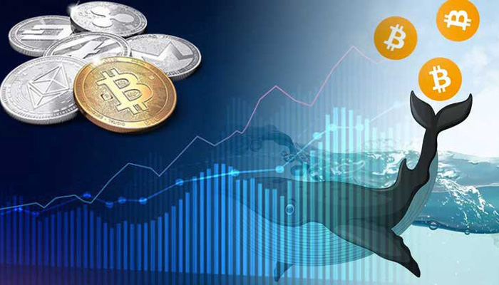 Giải mã bối cảnh toàn cầu về việc chấp nhận tiền điện tử Giải mã bối cảnh toàn cầu về việc chấp nhận tiền điện tử