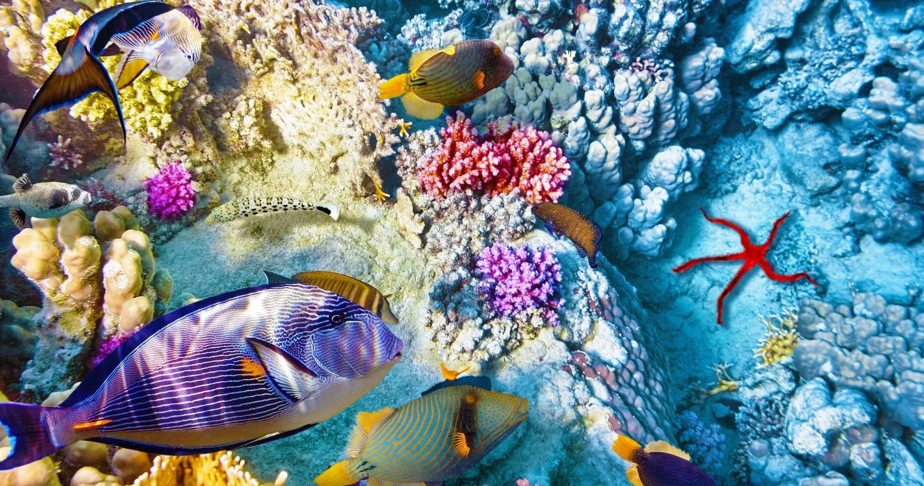 10 kỳ quan hùng vĩ ít được biết đến