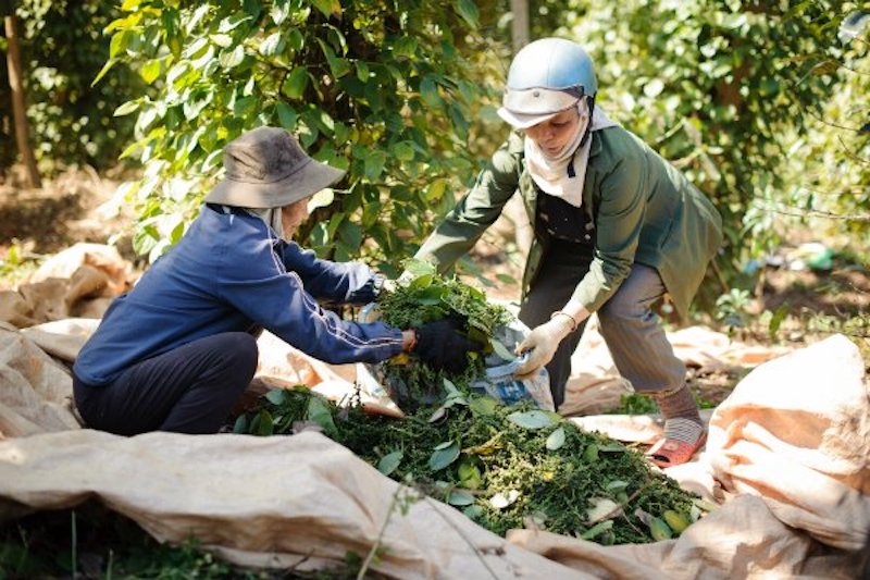 Xuất khẩu hạt tiêu 