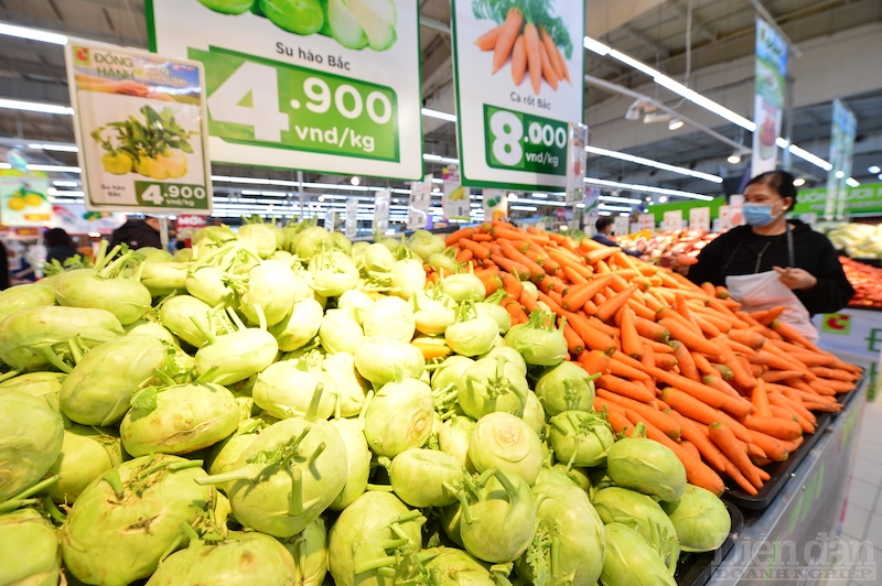 Các thị trường lớn của nông sản Việt phục hồi Các thị trường lớn của nông sản Việt phục hồi