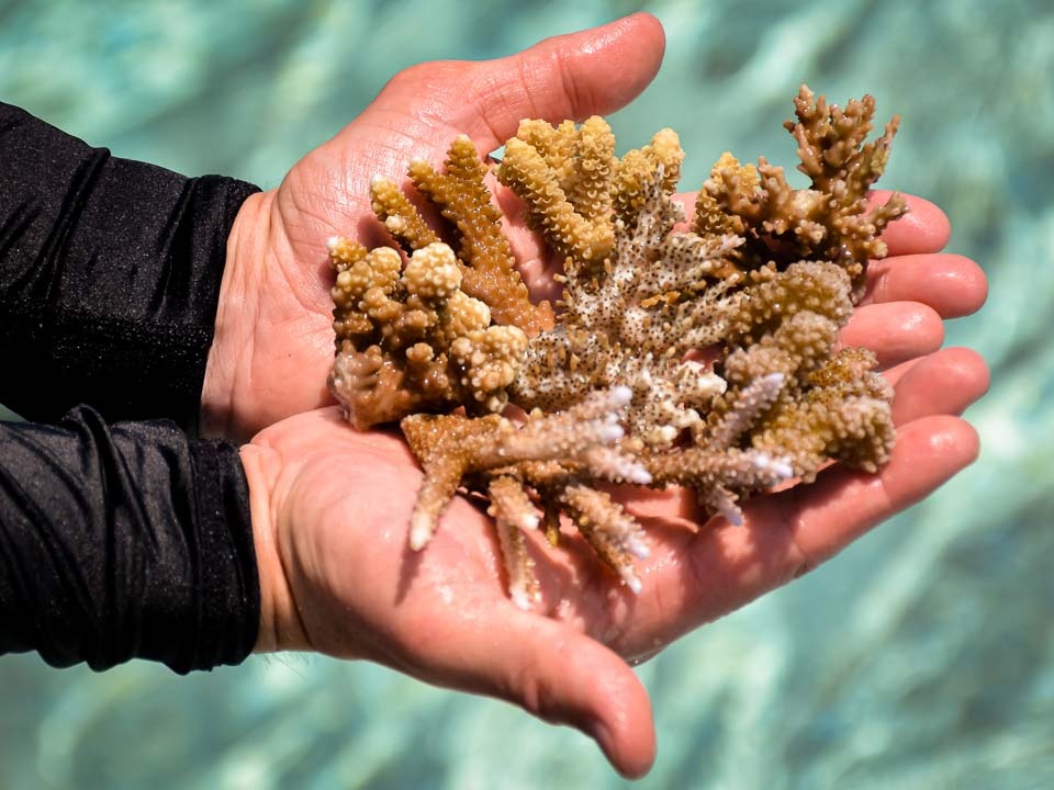 Thiên đường nghỉ dưỡng được tạo nên từ hàng nghìn hòn đảo