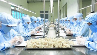 Nhiều thông tin mới cho doanh nghiệp xuất khẩu vào thị trường Trung Quốc Nhiều thông tin mới cho doanh nghiệp xuất khẩu vào thị trường Trung Quốc