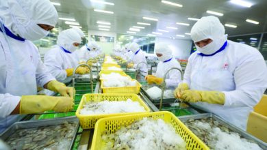 Gỡ khó cho xuất khẩu