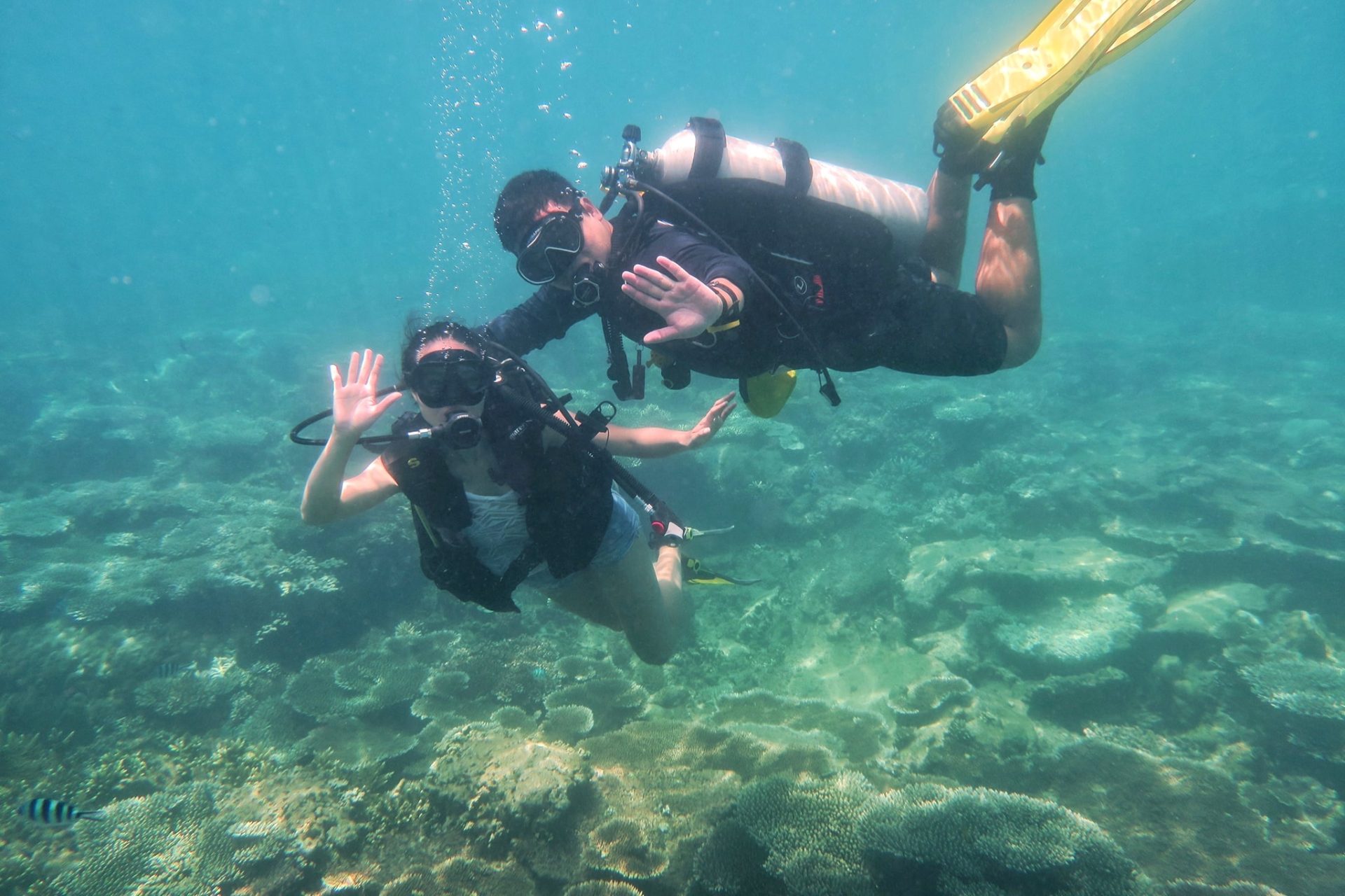 5 điểm lặn biển hút khách bậc nhất Việt Nam 5 điểm lặn biển hút khách bậc nhất Việt Nam