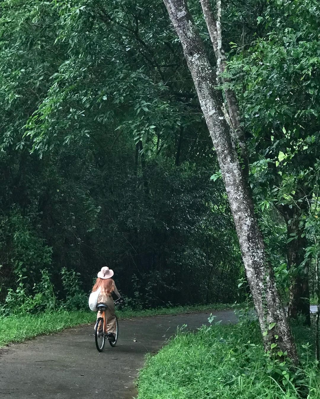 Trốn khói bụi tại Vườn quốc gia Cát Tiên