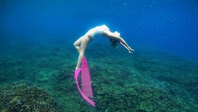 5 điểm lặn biển hút khách bậc nhất Việt Nam 5 điểm lặn biển hút khách bậc nhất Việt Nam