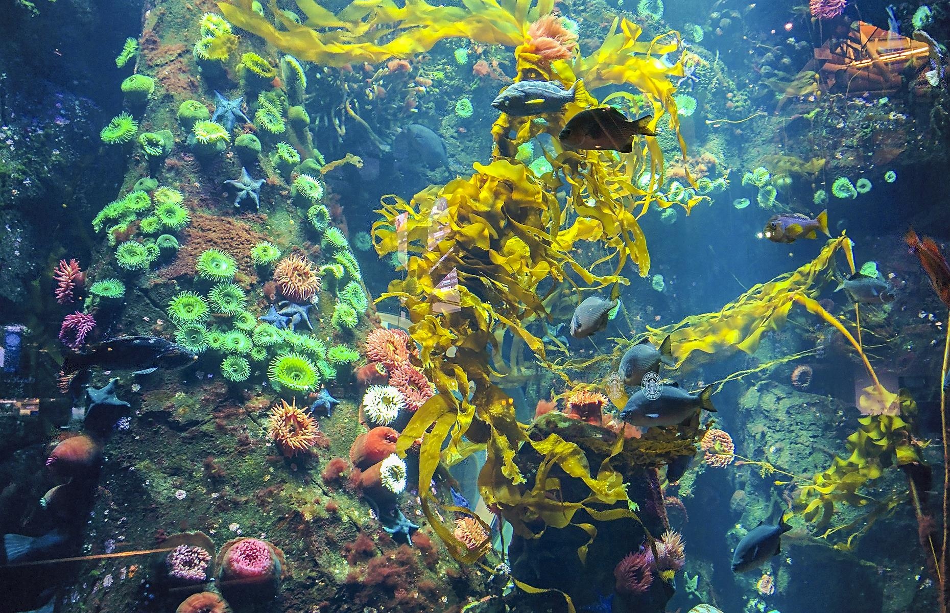 10 sân bay thú vị nhất thế giới