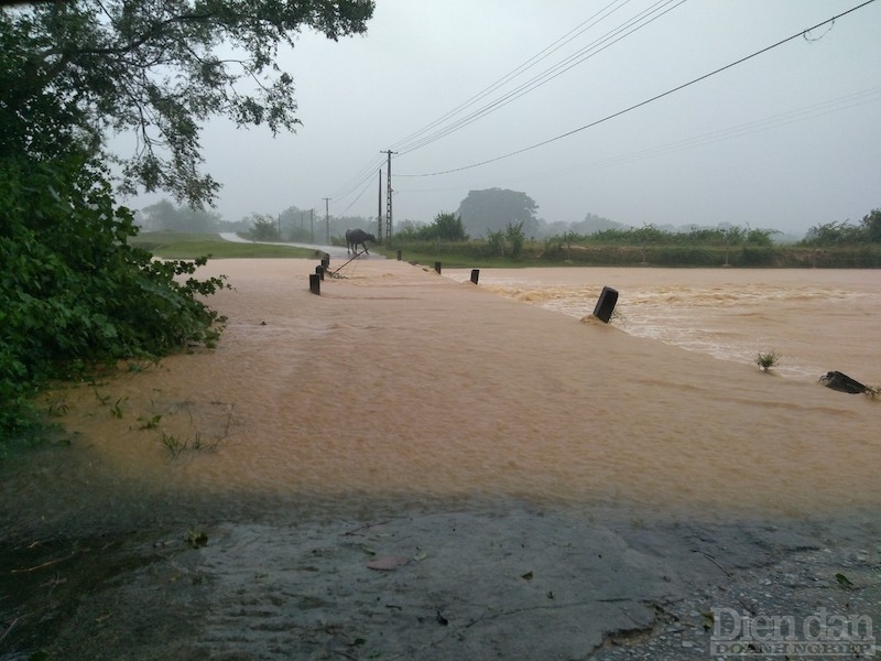 Nhựa Tiền Phong khánh thành “Cầu nối yêu thương” số 98 tại Hà Tĩnh