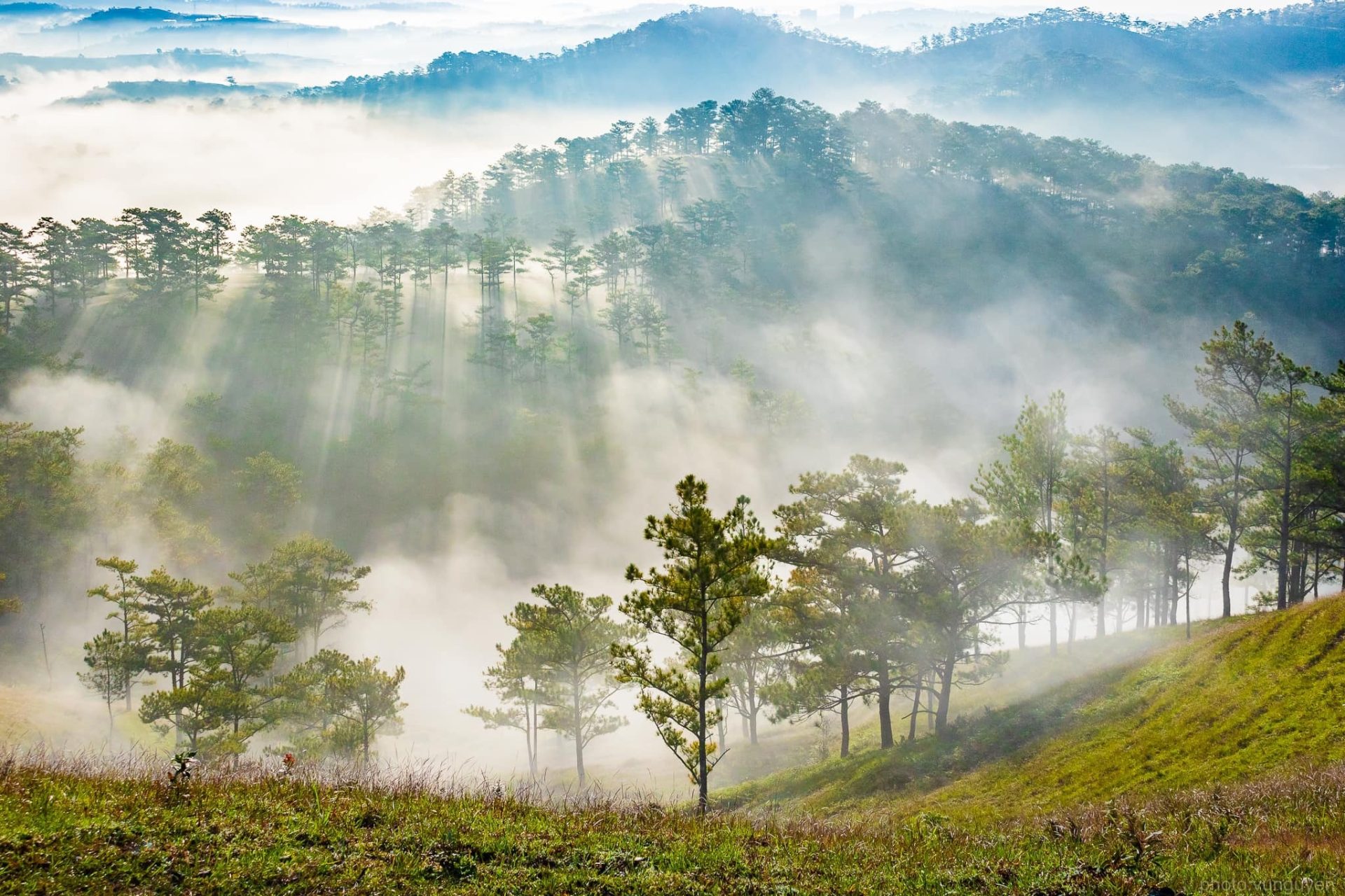 5 địa điểm cắm trại săn mây tại Đà Lạt