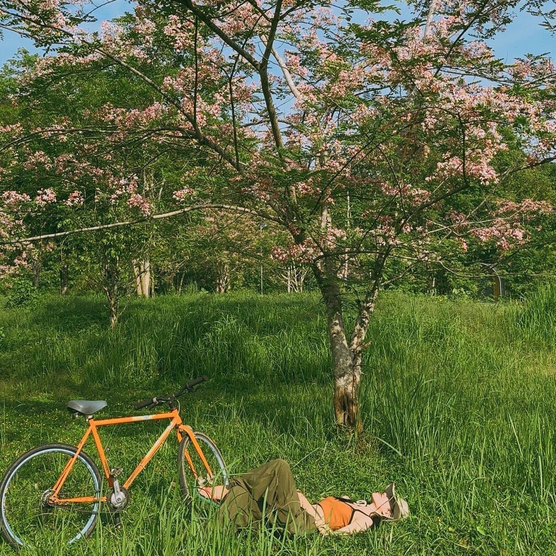 Trốn khói bụi tại Vườn quốc gia Cát Tiên