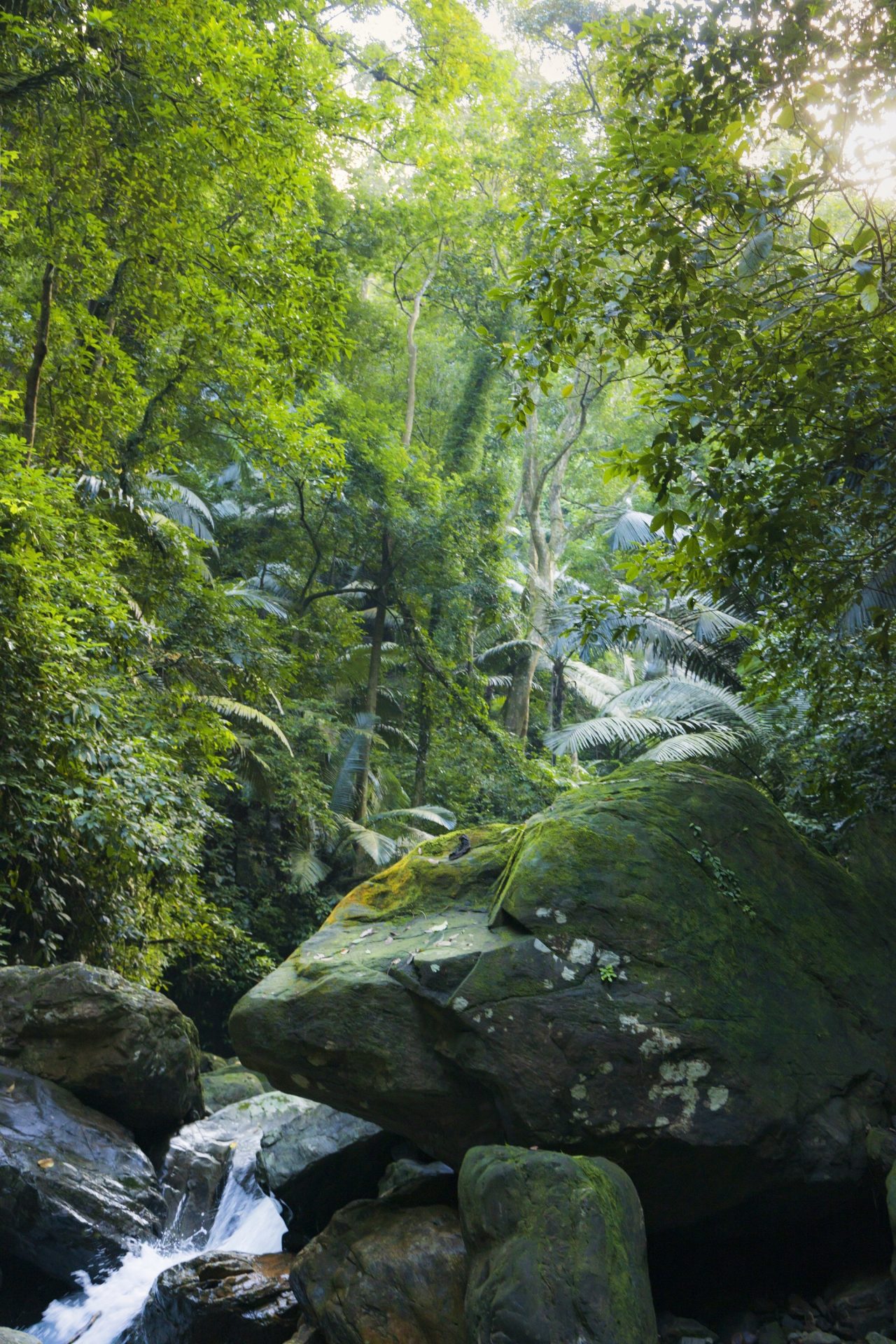 Khám phá khu dự trữ thiên nhiên Động Châu - khe Nước Trong