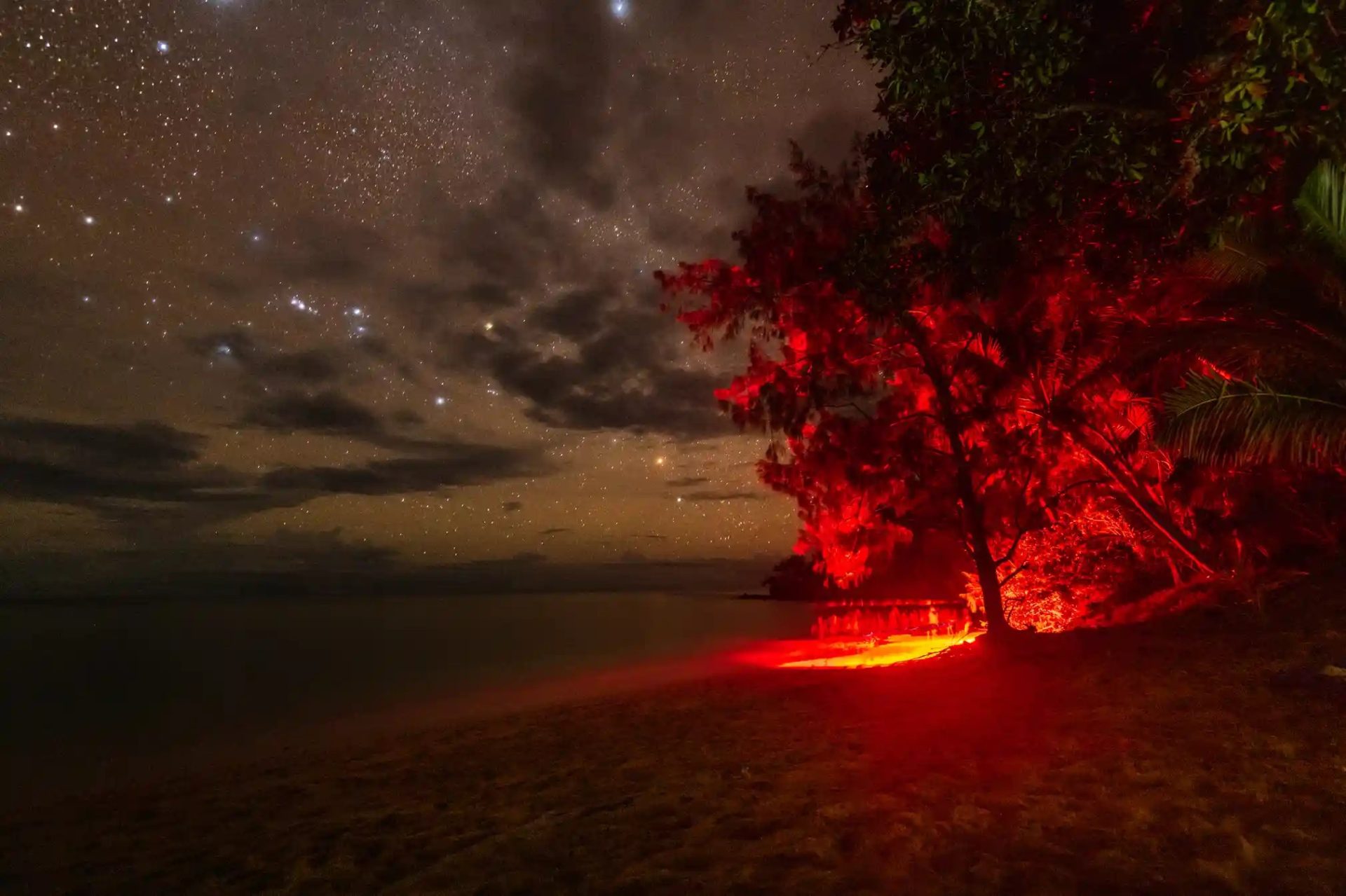 Bảo tồn rùa biển ở quốc đảo Fiji Bảo tồn rùa biển ở quốc đảo Fiji