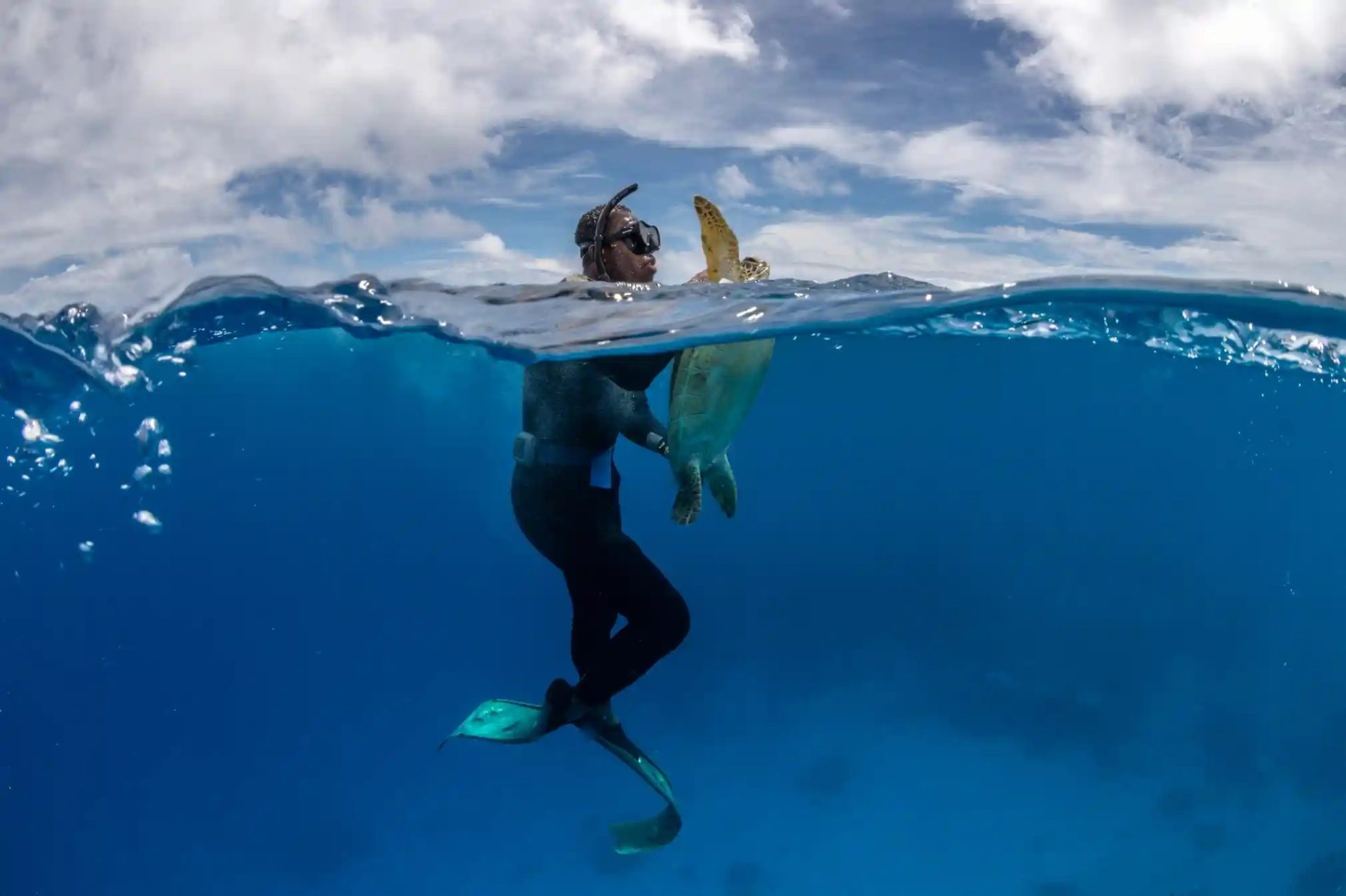 Bảo tồn rùa biển ở quốc đảo Fiji Bảo tồn rùa biển ở quốc đảo Fiji