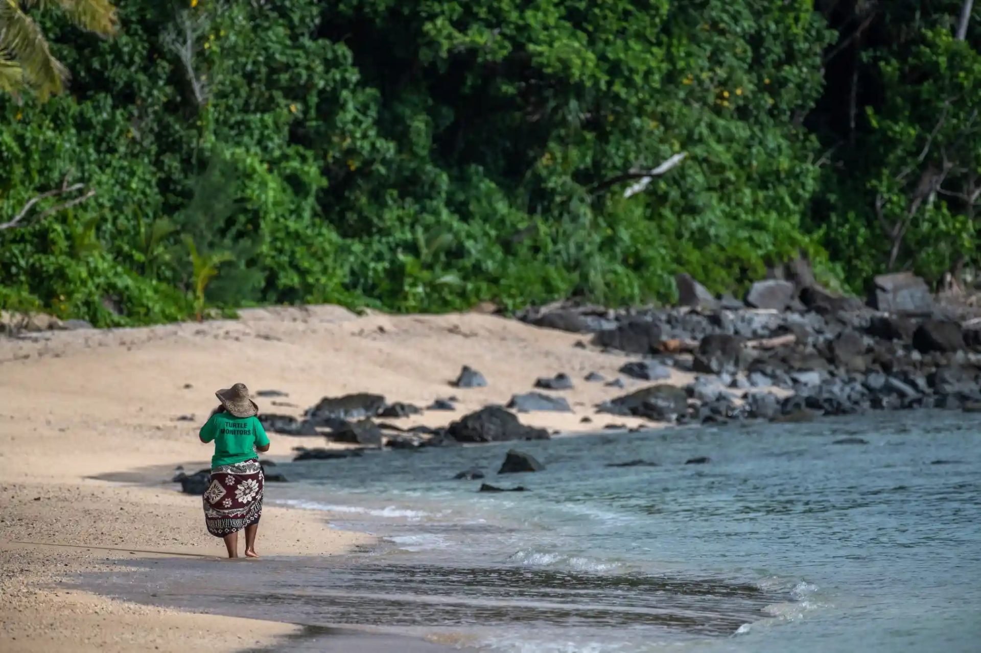 Bảo tồn rùa biển ở quốc đảo Fiji Bảo tồn rùa biển ở quốc đảo Fiji