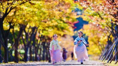 Hàn Quốc quảng bá du lịch MICE tại thị trường Việt Nam