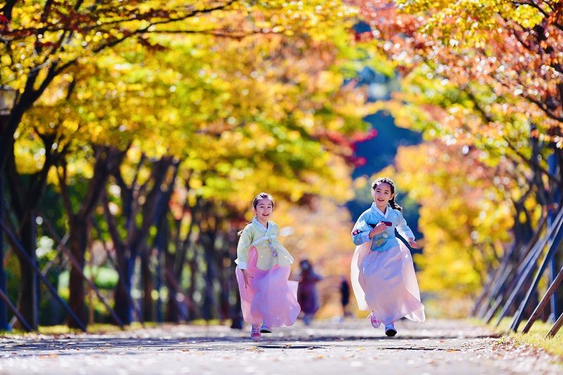 Hàn Quốc quảng bá du lịch MICE tại thị trường Việt Nam