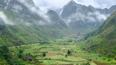 Hà Giang dự kiến thu phí tham quan cao nguyên đá Đồng Văn Hà Giang dự kiến thu phí tham quan cao nguyên đá Đồng Văn