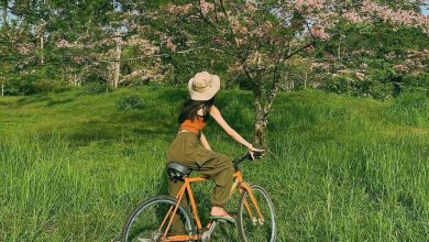 Trốn khói bụi tại Vườn quốc gia Cát Tiên