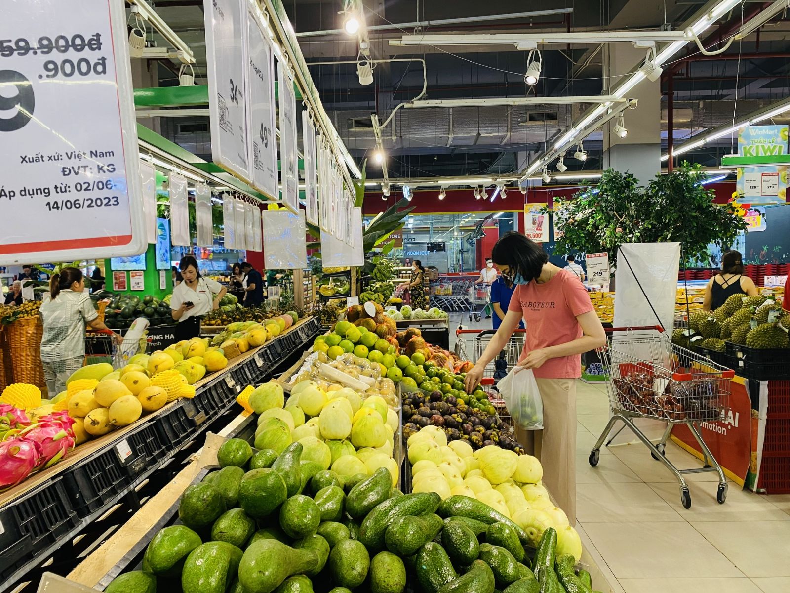 Áp lực tăng trưởng tiêu dùng nội địa Áp lực tăng trưởng tiêu dùng nội địa