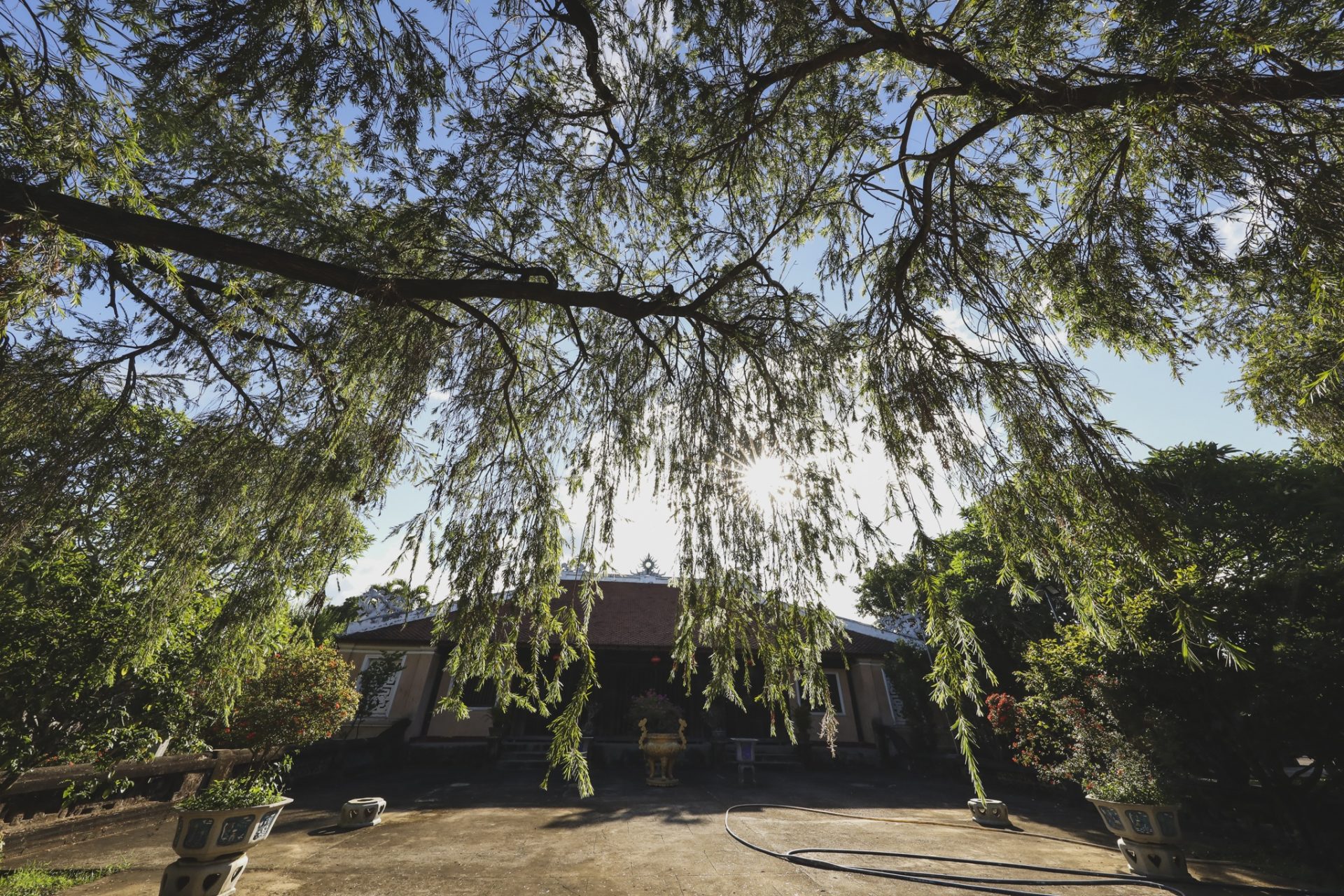 Bên trong ngôi cổ tự lâu đời nhất Bình Định