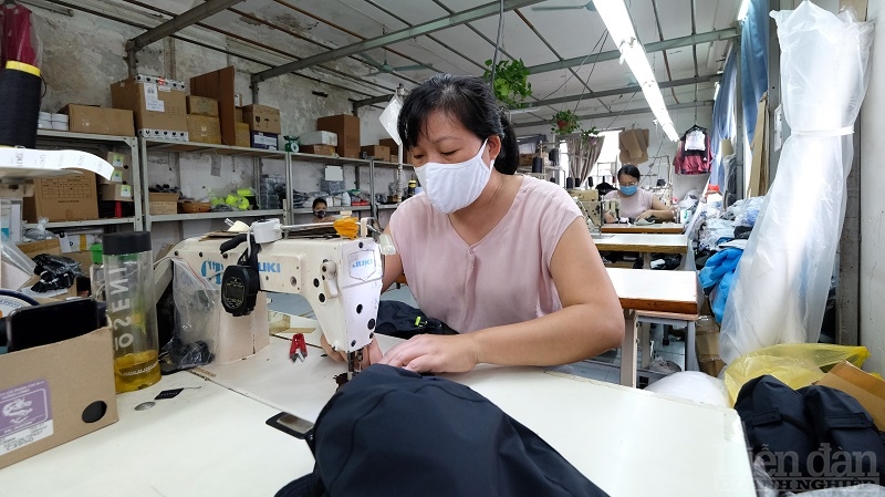 Không loại trừ khả năng giảm lãi suất điều hành nhiều hơn trong quý 3