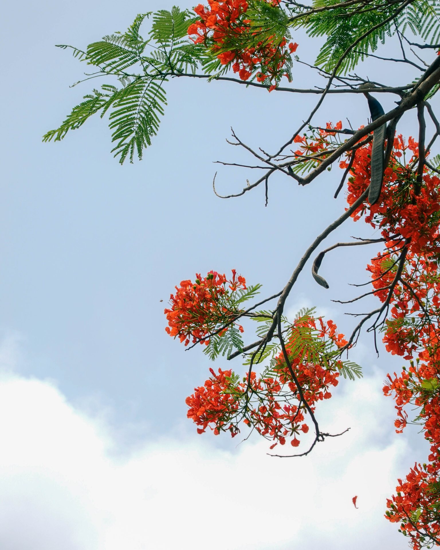 Ghé thăm Hải Phòng dịp hè