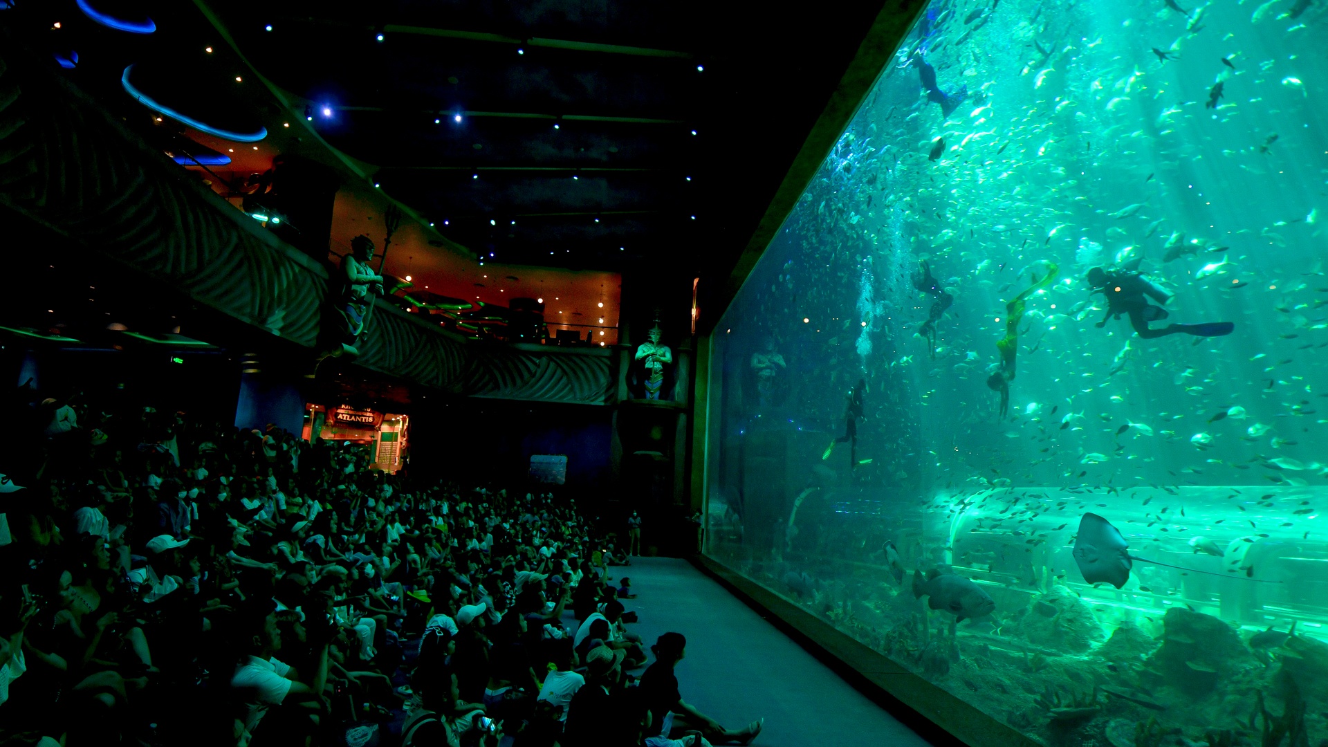 Một ngày của 'nàng tiên cá' ở Phú Quốc