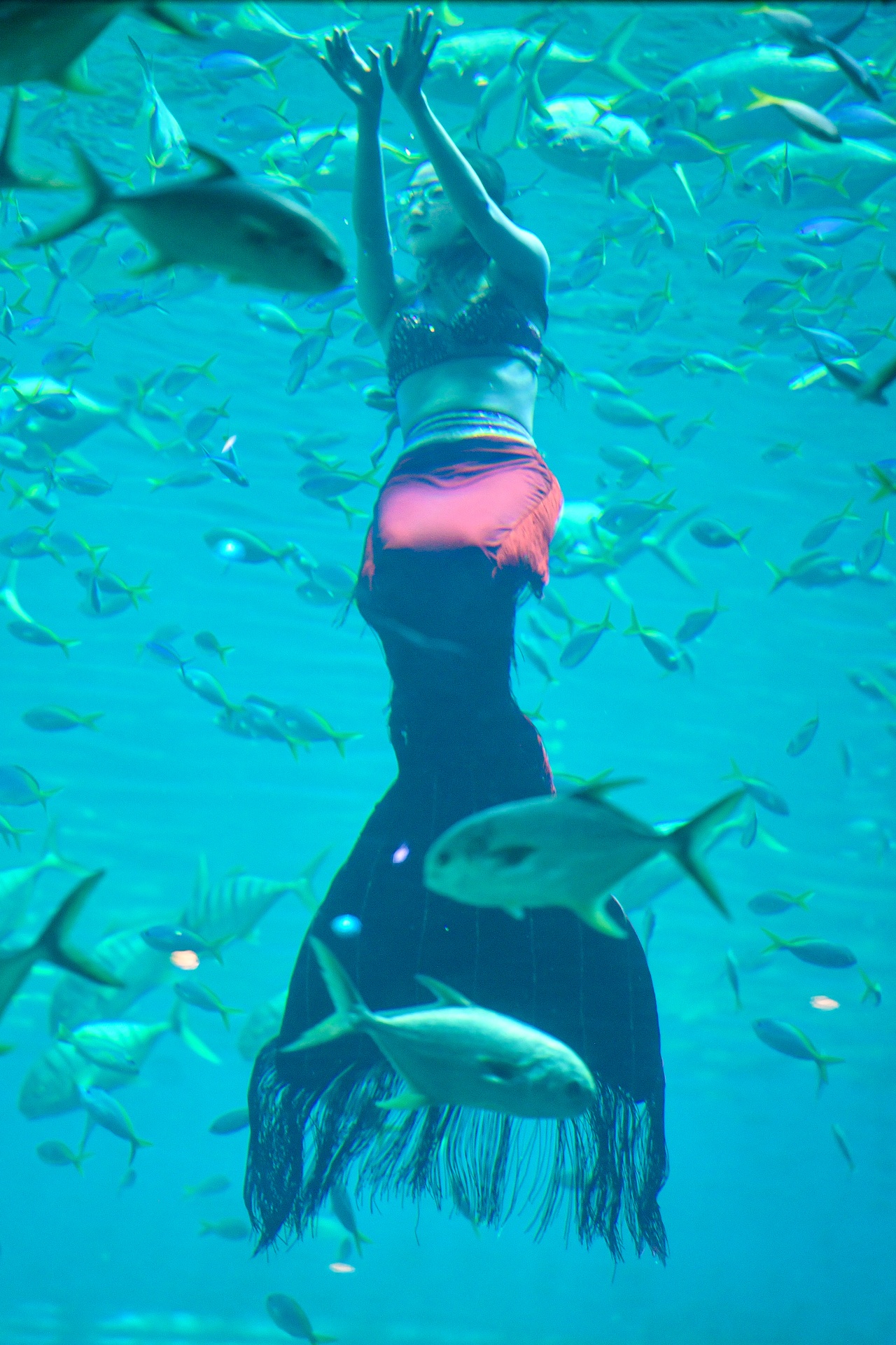 Một ngày của 'nàng tiên cá' ở Phú Quốc