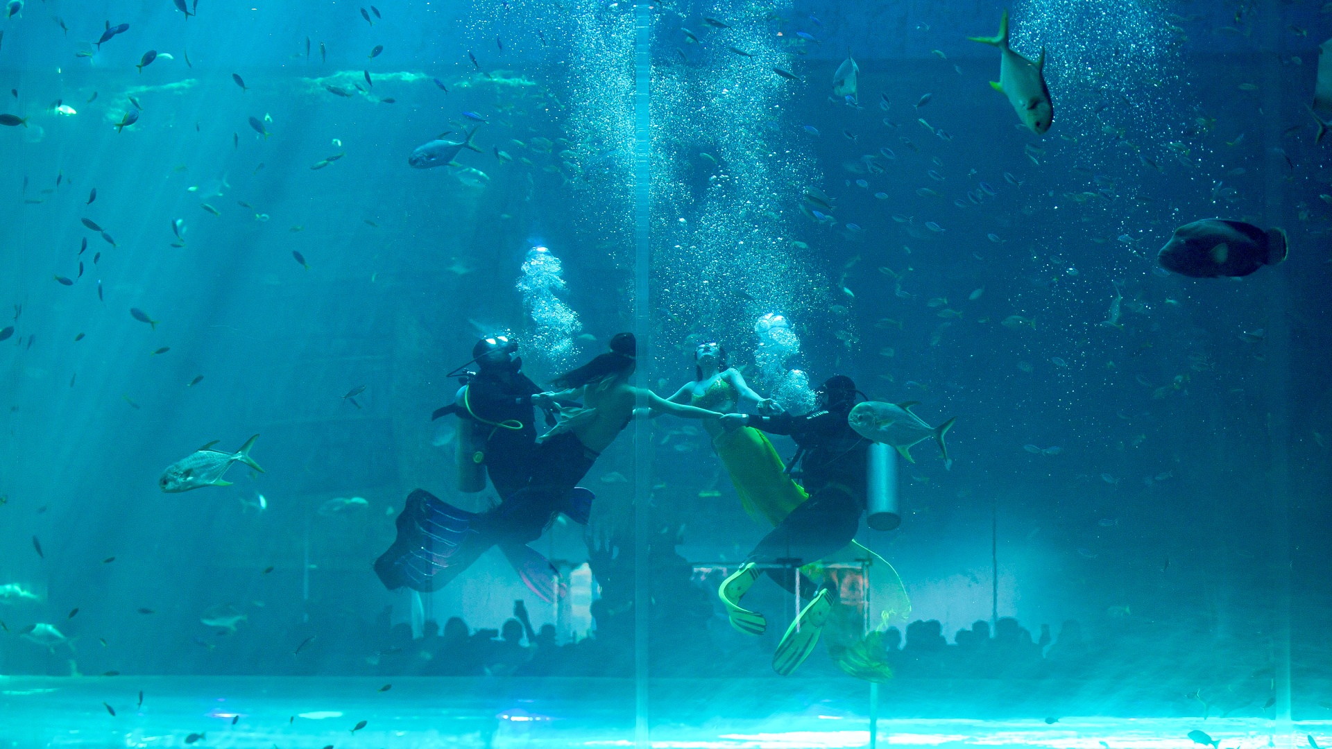 Một ngày của 'nàng tiên cá' ở Phú Quốc