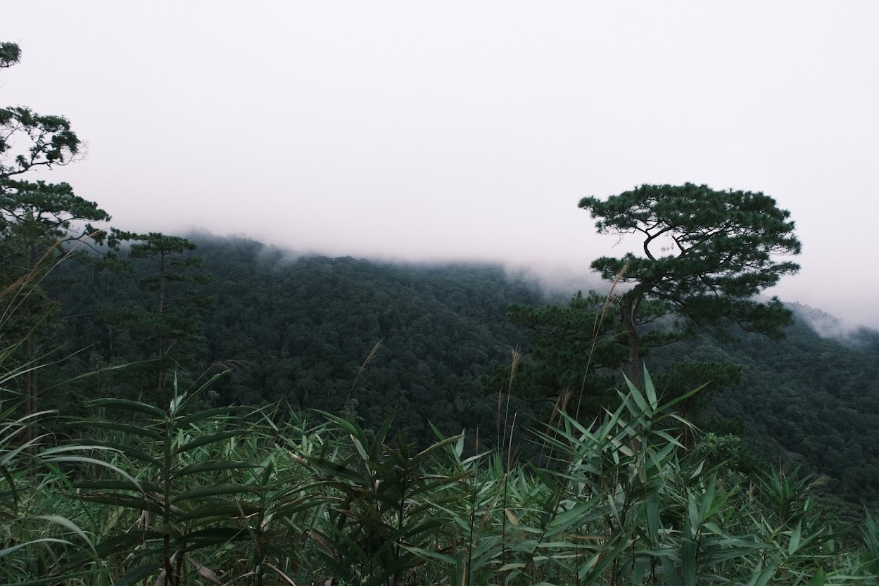 Du lịch Tây Nguyên mùa mưa