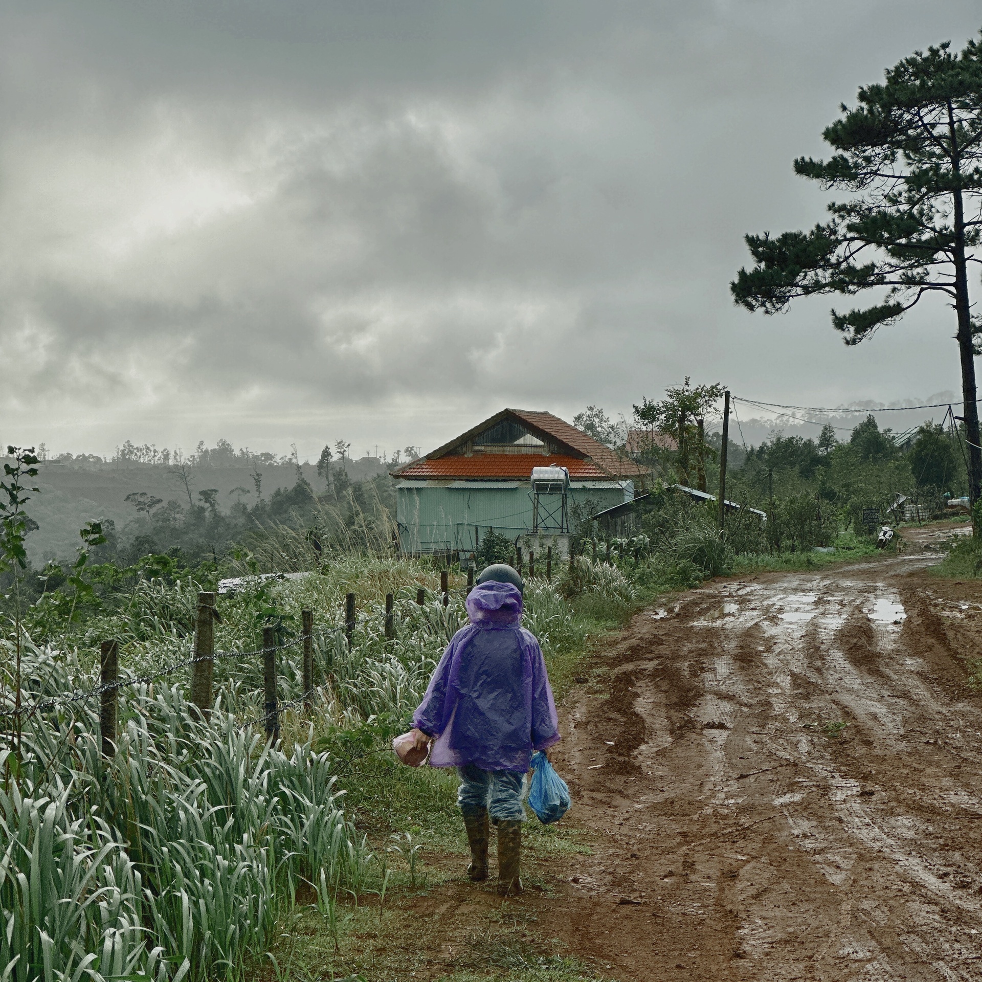 Du lịch Tây Nguyên mùa mưa