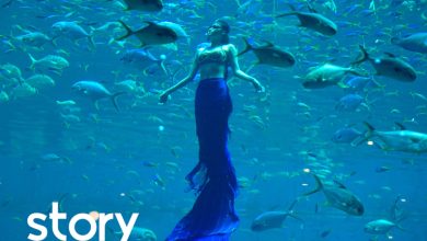 Một ngày của 'nàng tiên cá' ở Phú Quốc