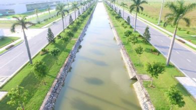 Vĩnh Phúc: Xây dựng môi trường sống “xanh” trong khu công nghiệp Vĩnh Phúc: Xây dựng môi trường sống “xanh” trong khu công nghiệp