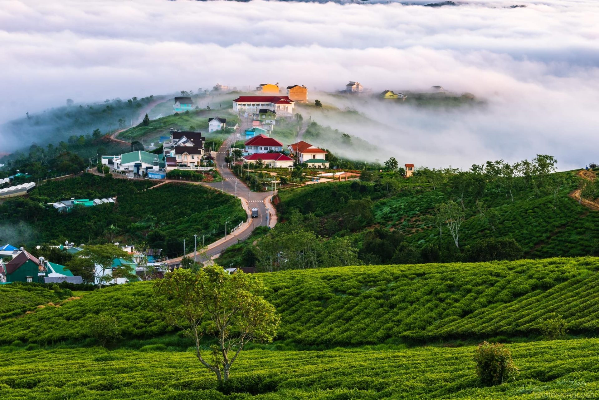 5 địa điểm cắm trại săn mây tại Đà Lạt