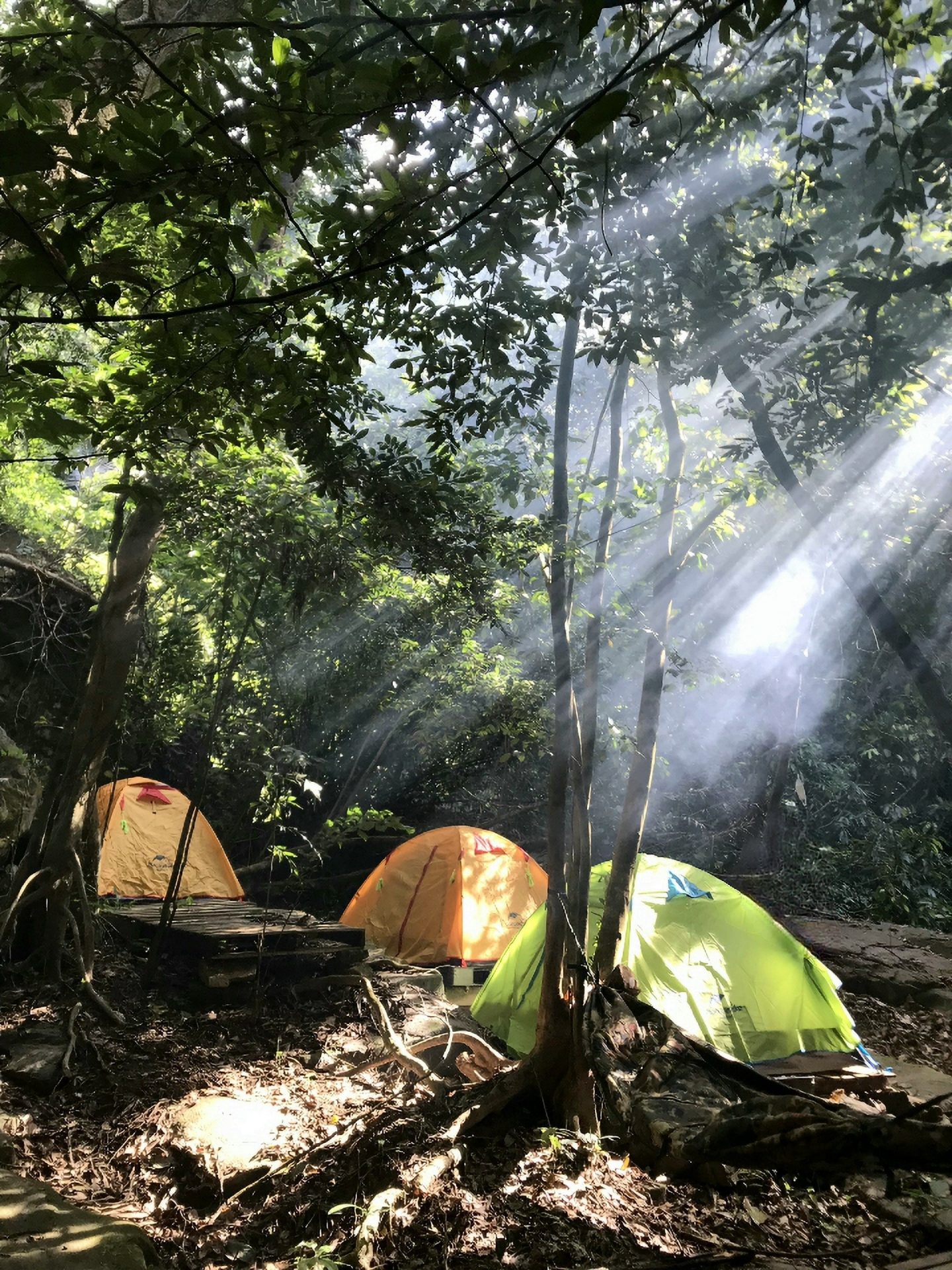 Khám phá khu dự trữ thiên nhiên Động Châu - khe Nước Trong