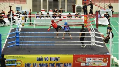 Giải Võ thuật Cúp Tài năng trẻ Việt Nam lần thứ 4 năm 2023 Giải Võ thuật Cúp Tài năng trẻ Việt Nam lần thứ 4 năm 2023