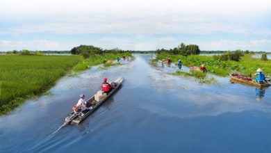 Hành trình 5 năm “shop bán tới đâu - J&T Express giao tới đó” Hành trình 5 năm “shop bán tới đâu - J&T Express giao tới đó”