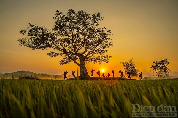 Nhớ về Tây Nguyên đại ngàn Nhớ về Tây Nguyên đại ngàn