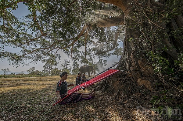 Nhớ về Tây Nguyên đại ngàn Nhớ về Tây Nguyên đại ngàn