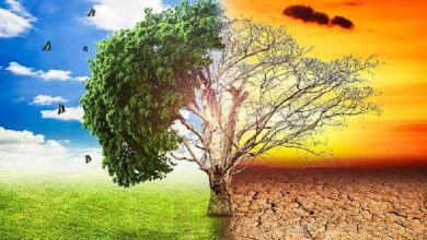 Bài toán thu hút khu vực tư nhân chung tay ứng phó với biến đổi khí hậu
