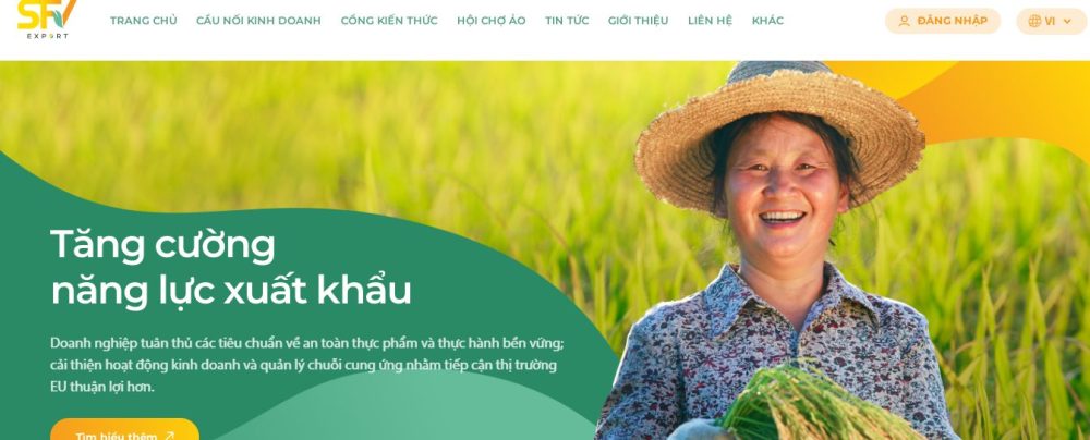 Hoạt động Dự án SFV - Export năm 2023