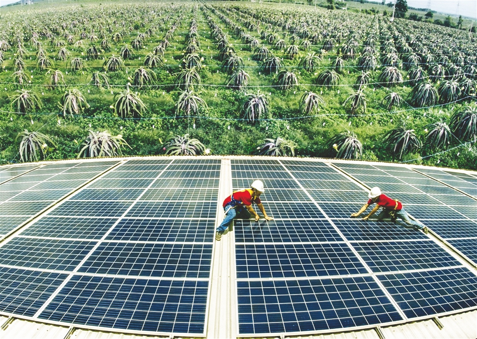 Doanh nghiệp dè dặt tiếp cận kinh tế tuần hoàn Doanh nghiệp dè dặt tiếp cận kinh tế tuần hoàn